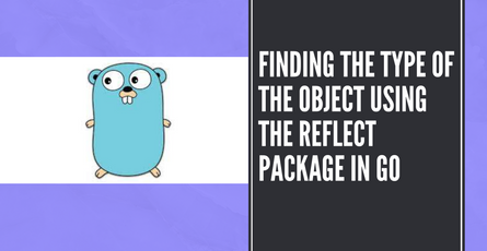 How to find the type of an object in Go