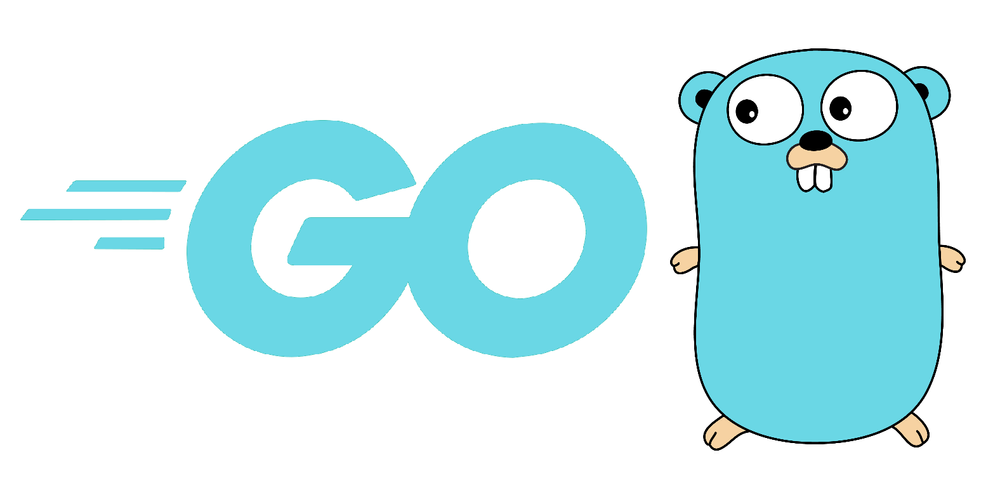 Golang run on sale