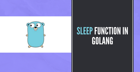 How to pause execution using the sleep function in Golang